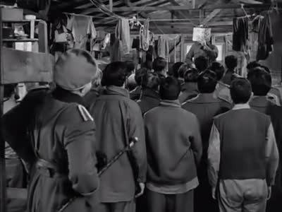 Stalag 17 (1953) - One führer is enough